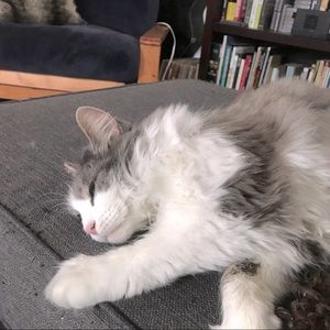 Meet your Posher, Christina